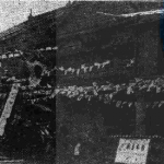 圖片出處：《臺灣日日新報》（1916-11-05）